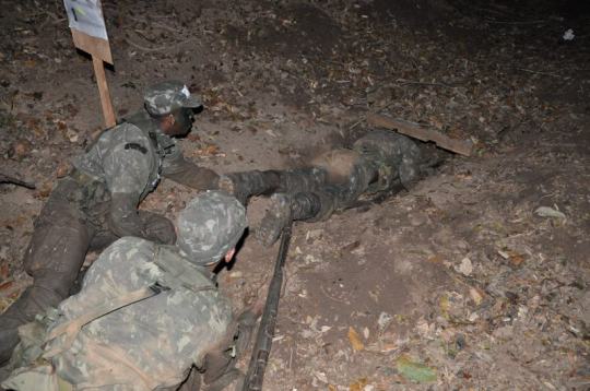 Um ano de pura diversão